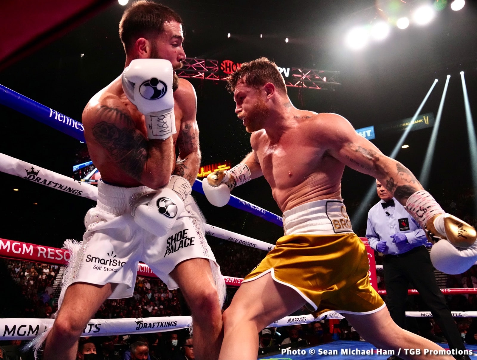 Left-Hook Lounge Mailbag: Featuring Canelo, Plant, Mayweather, & Ward!