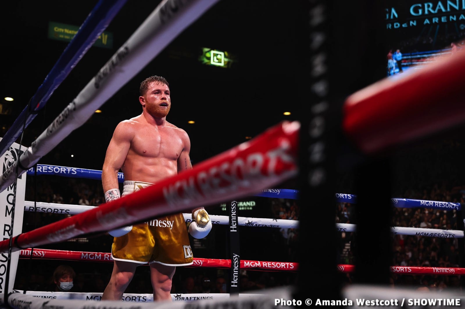 David Benavidez has best chance against Canelo Alvarez says Al Bernstein