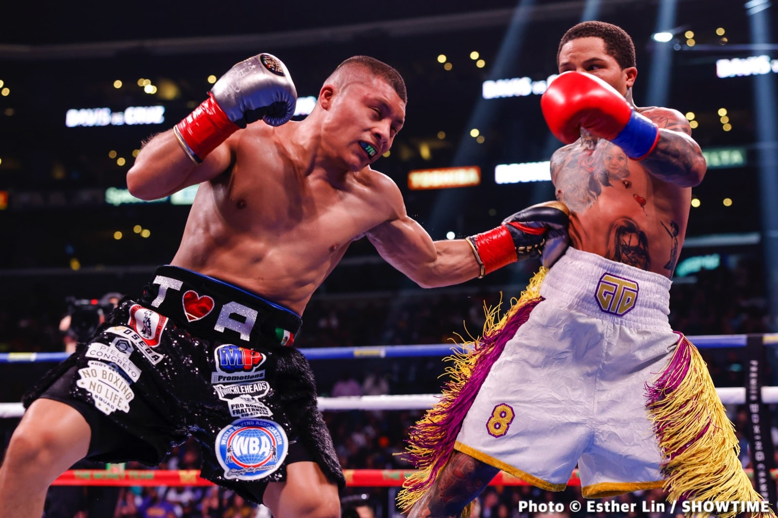 Oscar De La Hoya boxing image / photo