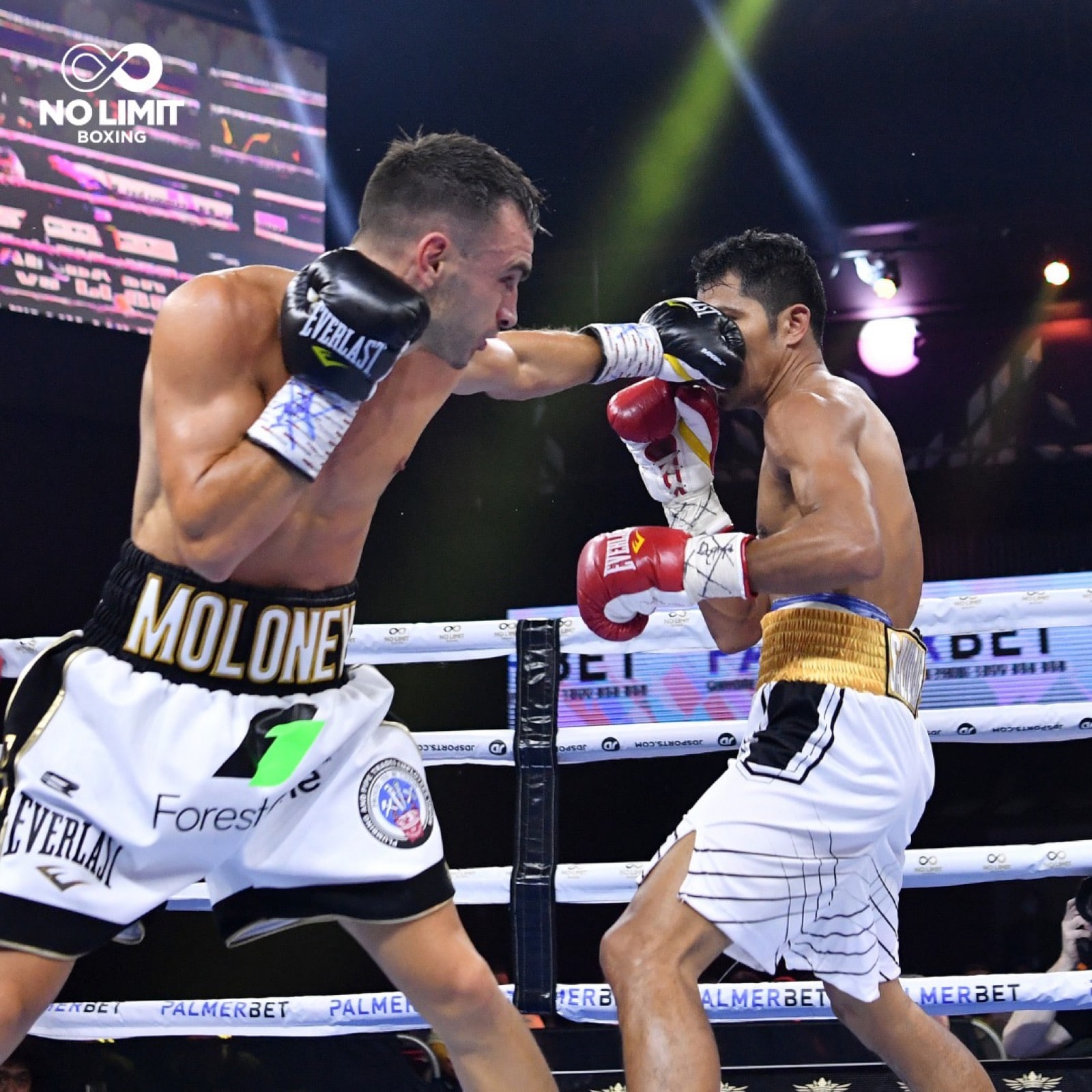 Andrew Moloney, Daniyar Yeleussinov, Saul Sanchez boxing image / photo