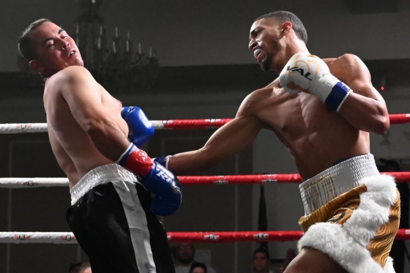 Jeffrey Torres and Denzel Whitley Score Dominating Knockout Victories