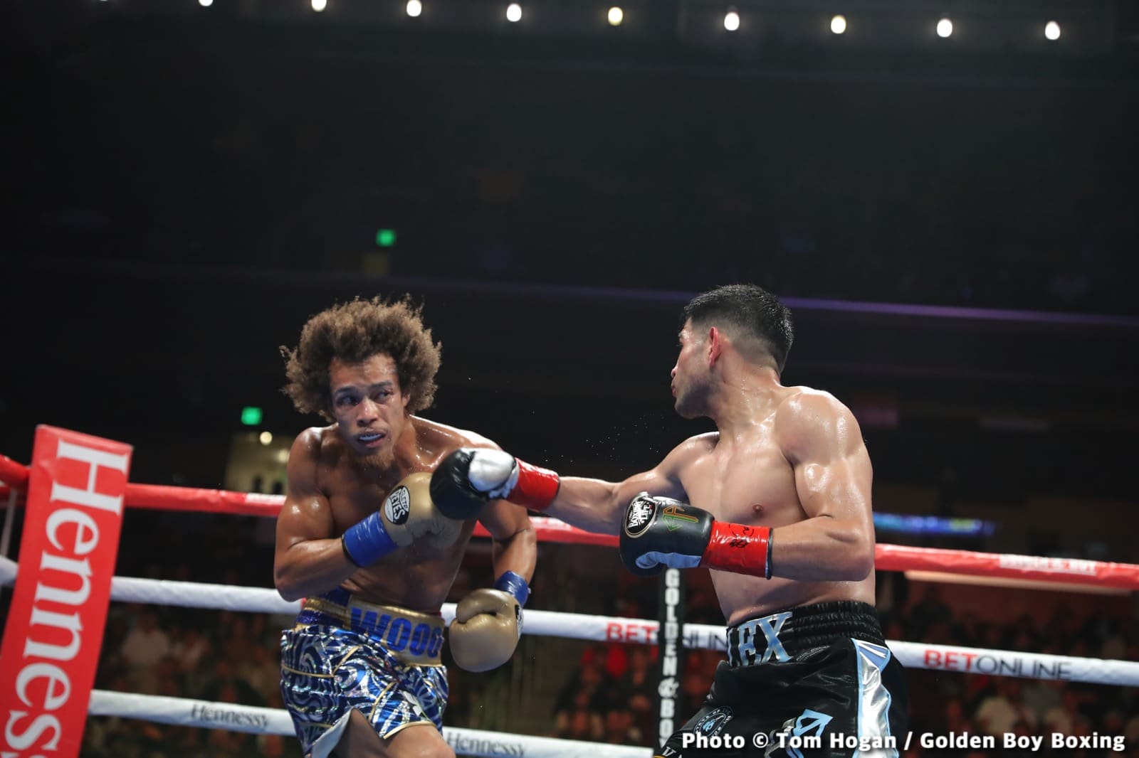 Alexis Rocha boxing image / photo