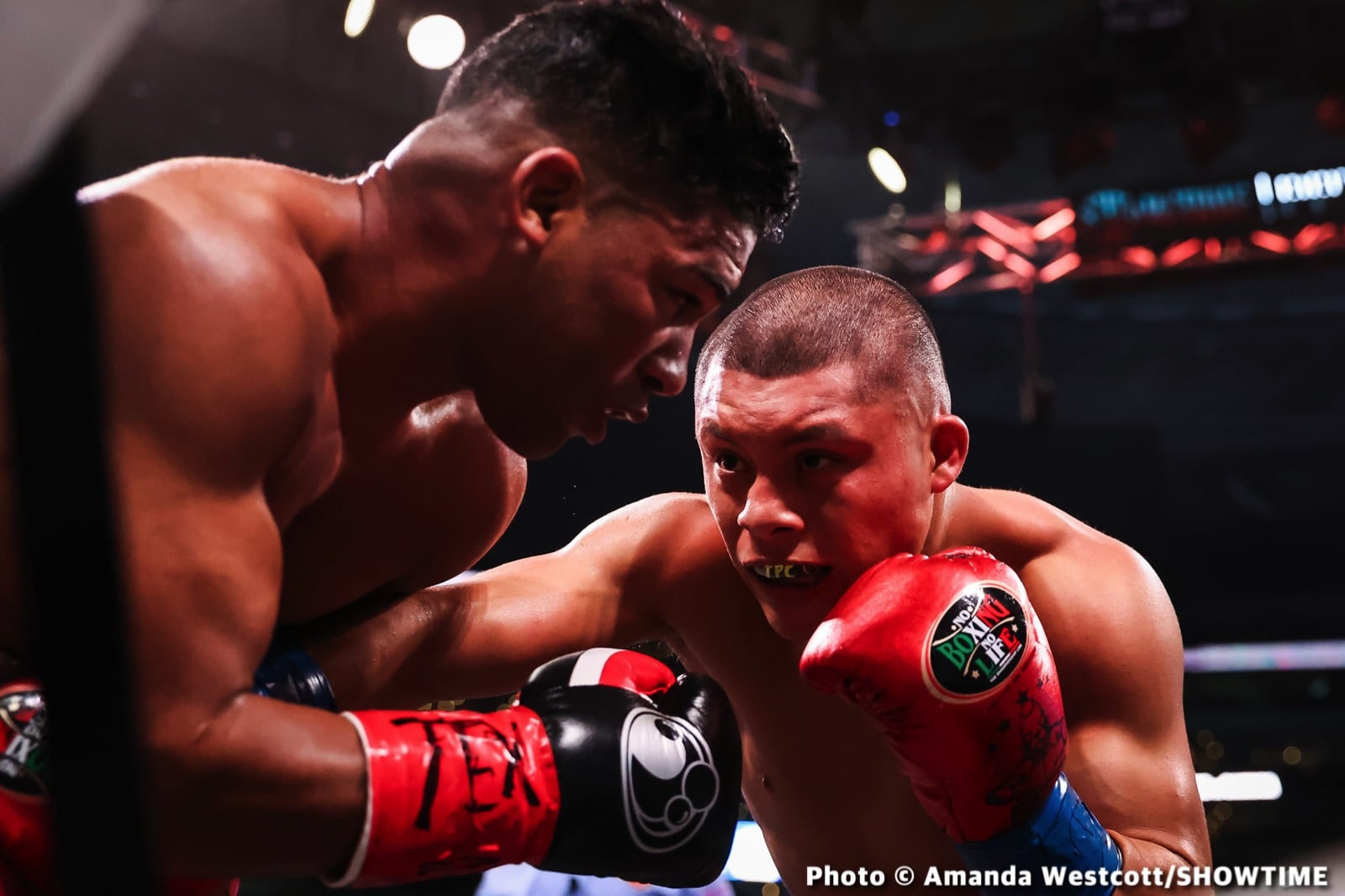 Photos: Spence TKOs Ugas in 10th, Cruz Dominates Gamboa