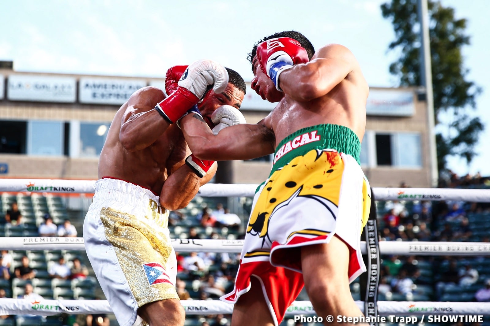 Photos: Jermell Charlo KOs Castano, Ennis Crushes Clayton!