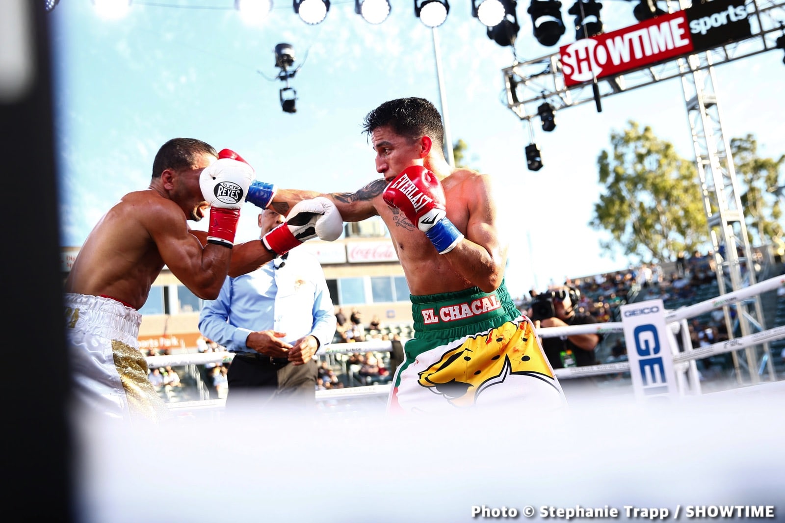 Photos: Jermell Charlo KOs Castano, Ennis Crushes Clayton!