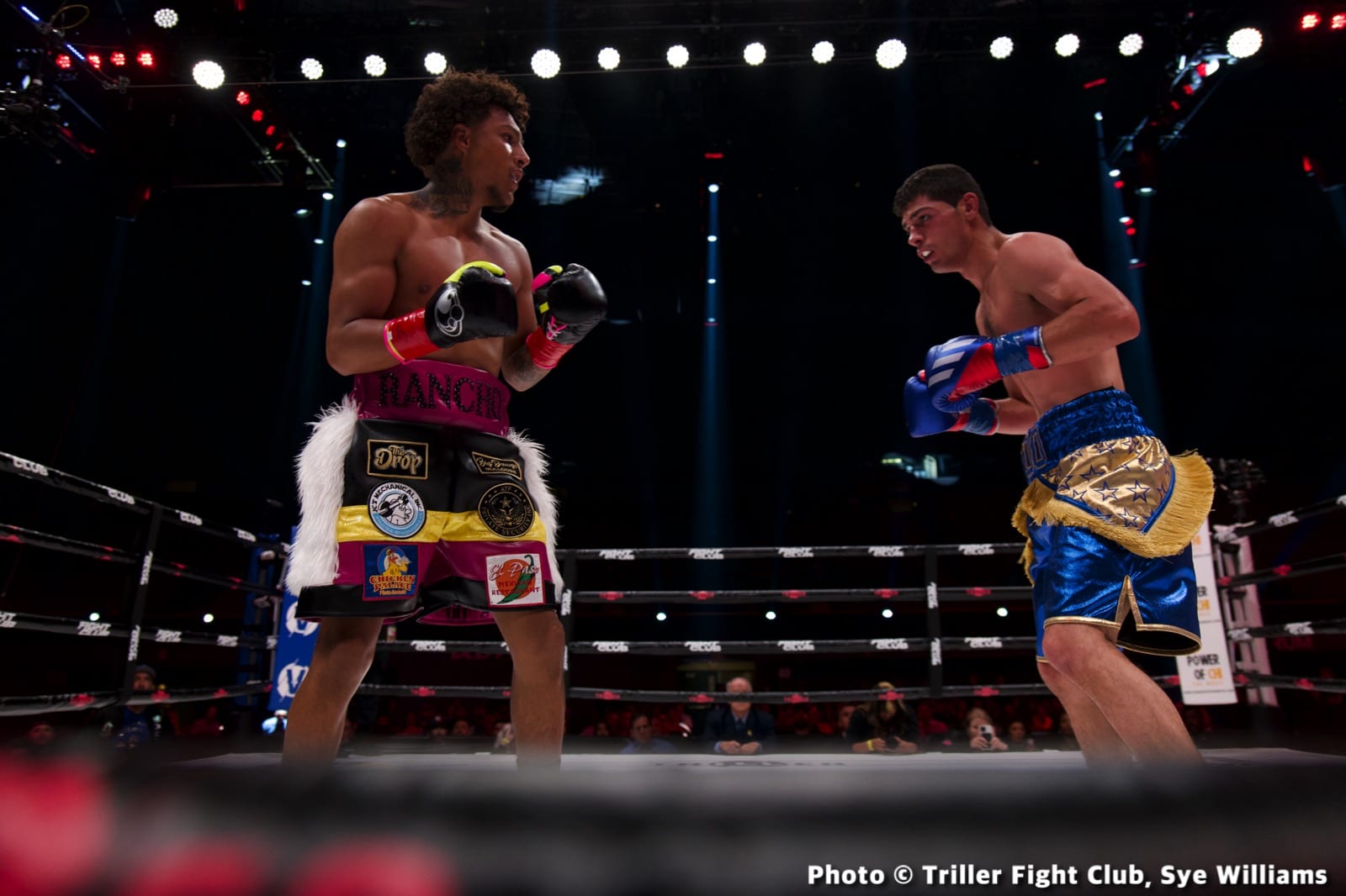 Photos: Sergey Kovalev & Kubrat Pulev TrillerVerz 5 Results