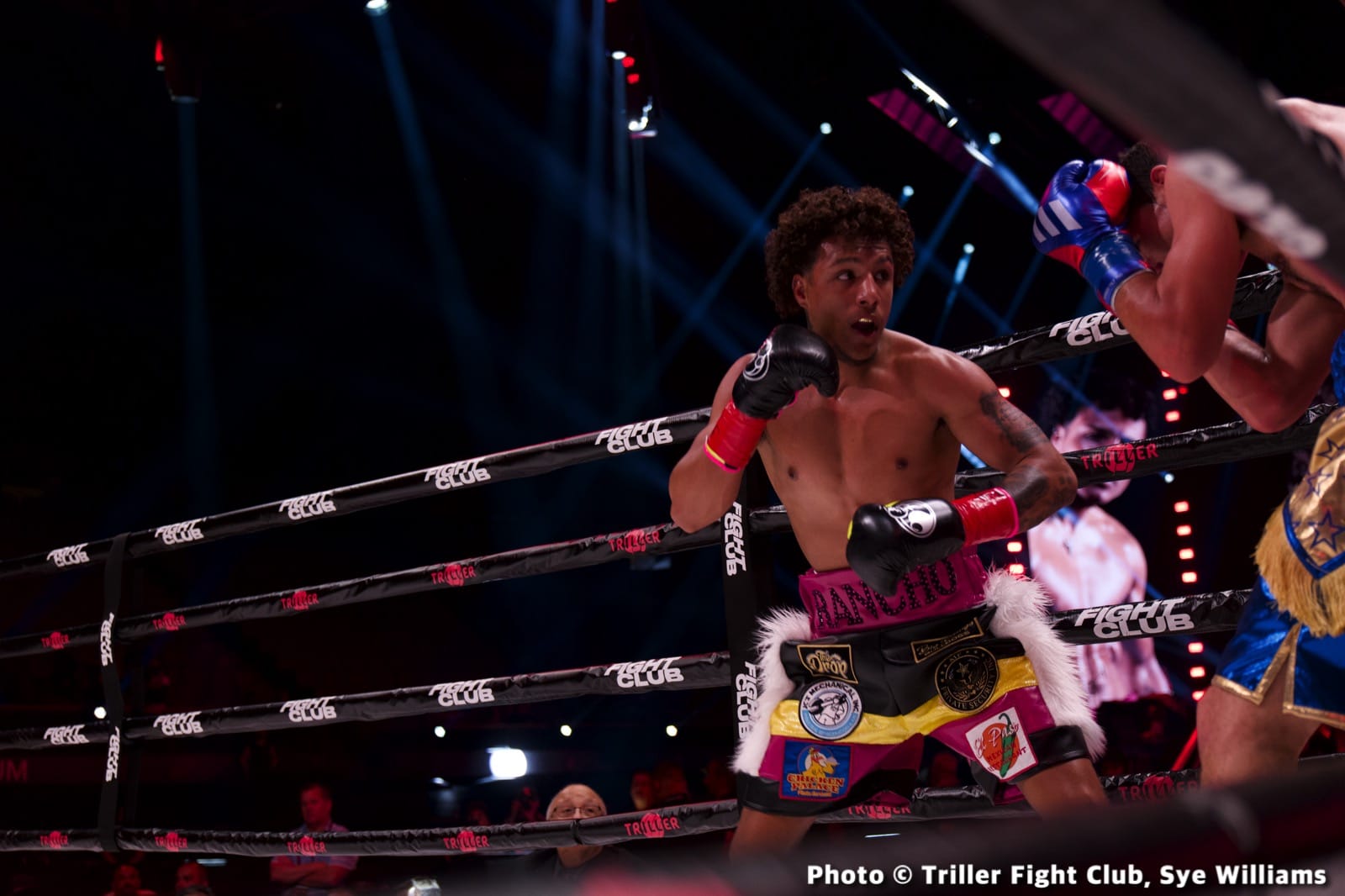 Photos: Sergey Kovalev & Kubrat Pulev TrillerVerz 5 Results
