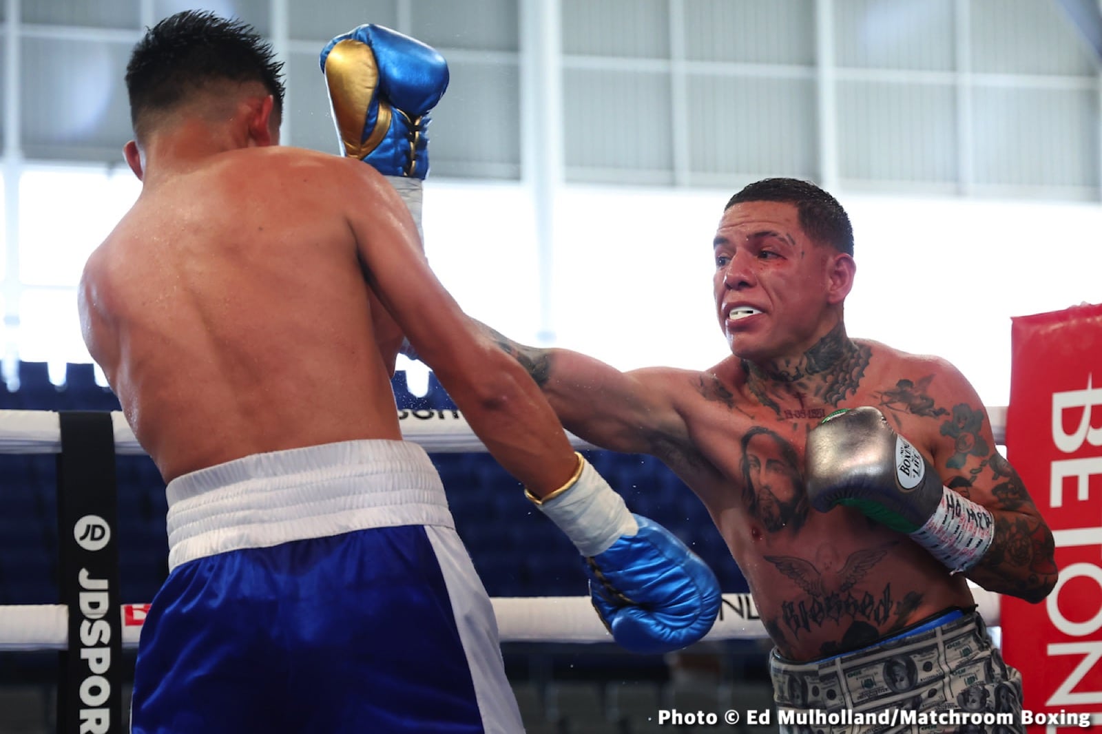 Hiroto Kyoguchi Stops Bermudez On Wild Night In Mexico - Boxing Results