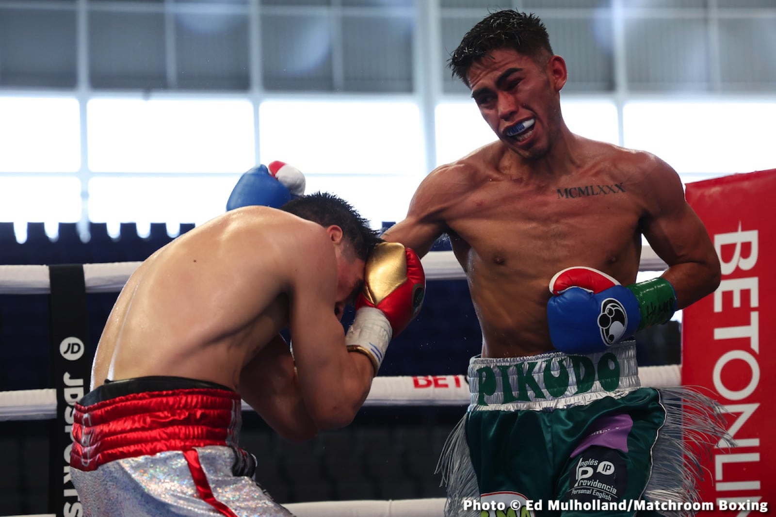 Hiroto Kyoguchi Stops Bermudez On Wild Night In Mexico - Boxing Results