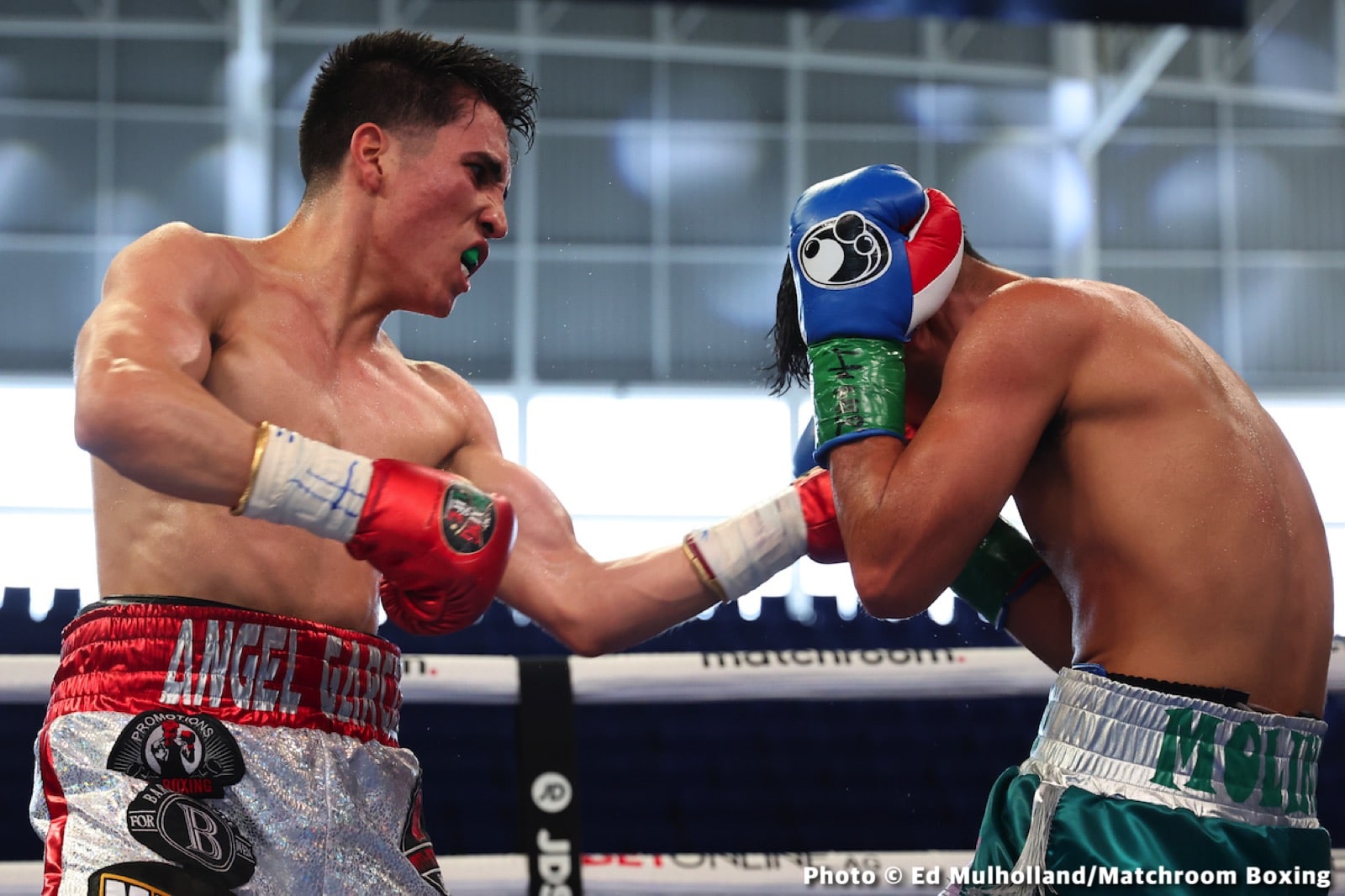 Hiroto Kyoguchi Stops Bermudez On Wild Night In Mexico - Boxing Results
