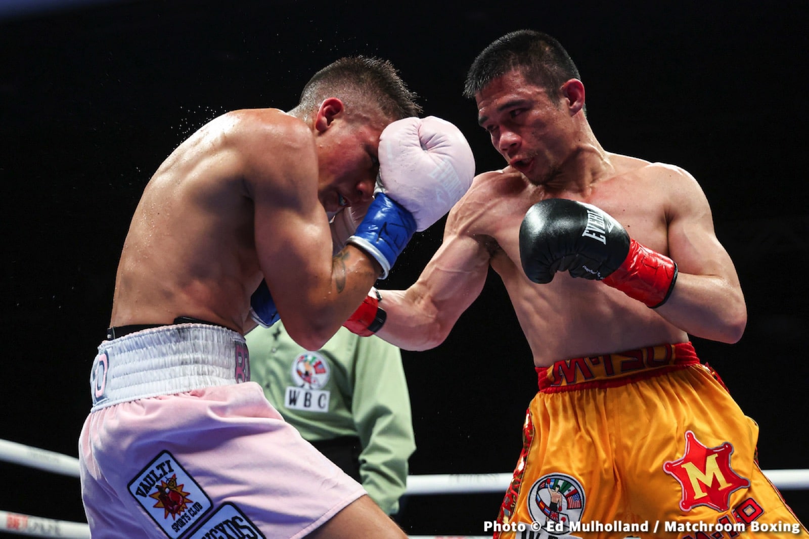 Jesse Rodriguez boxing image / photo