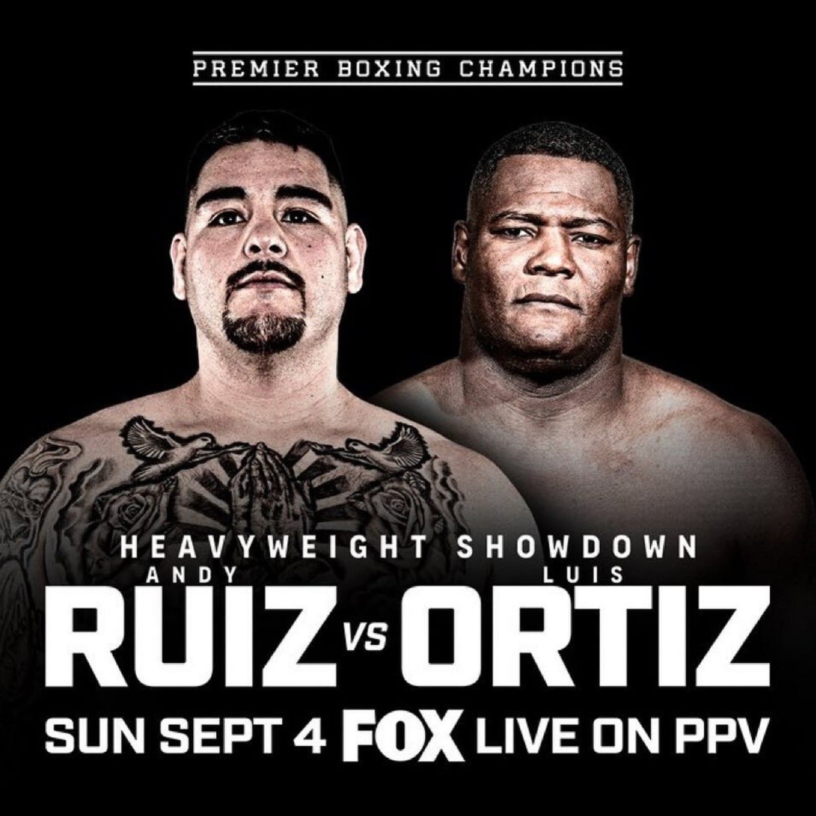 Andy Ruiz Jr, Luis Ortiz boxing image / photo