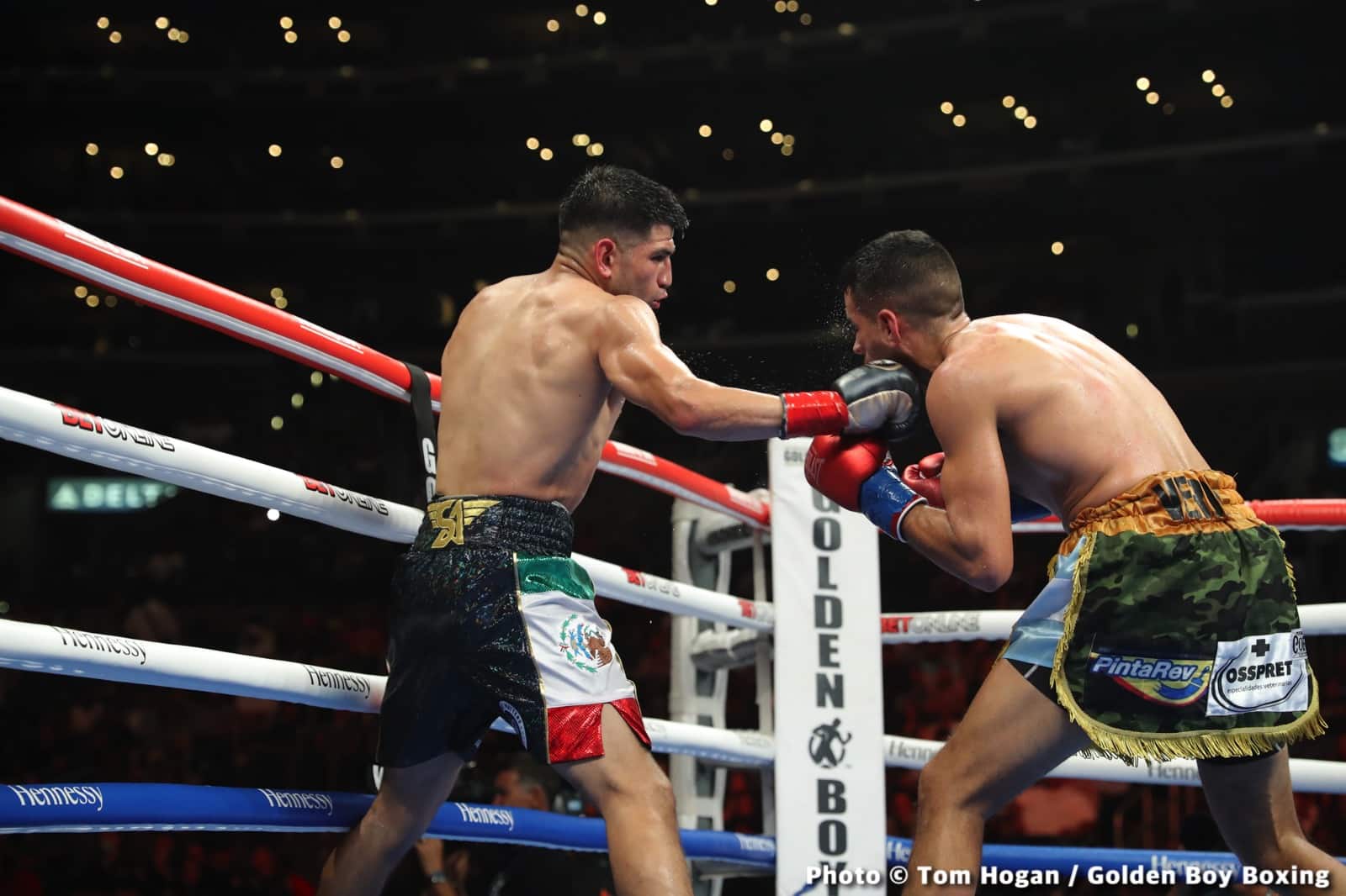 Photos: King Ryan Knocks Out Fortuna In Round 6