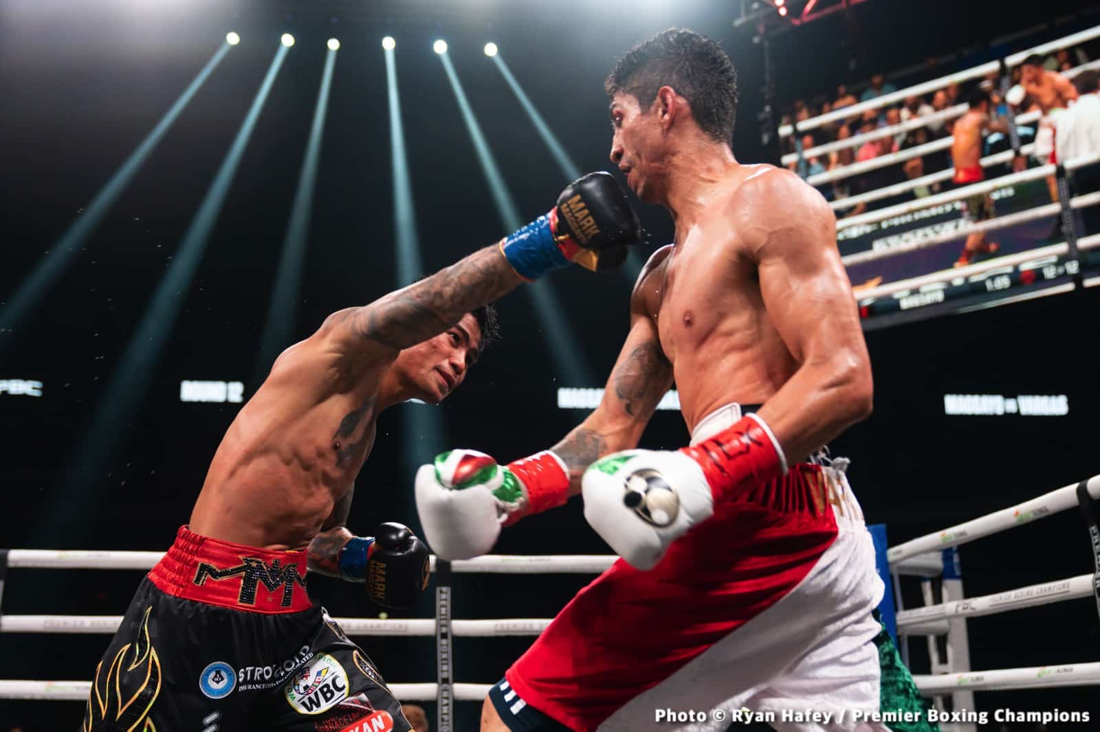 Rey Vargas boxing image / photo