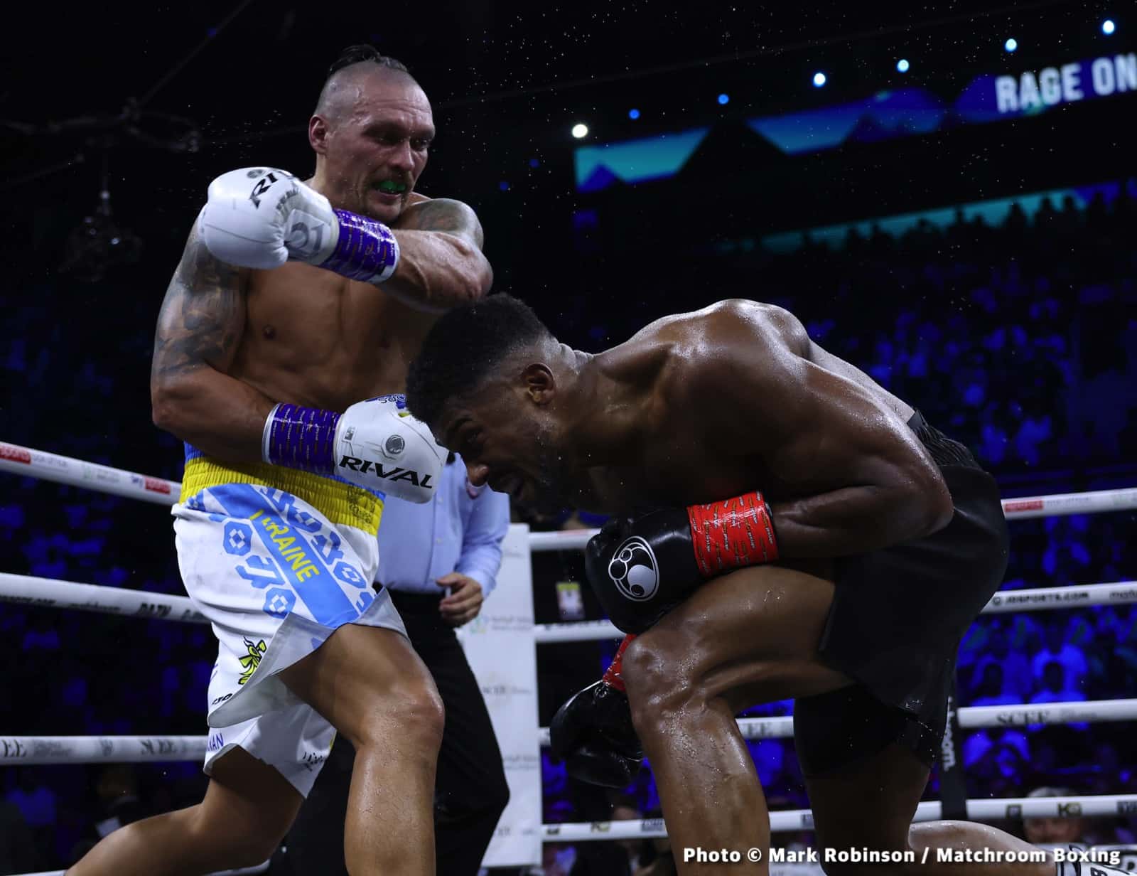Alexander Usyk, Deontay Wilder boxing image / photo