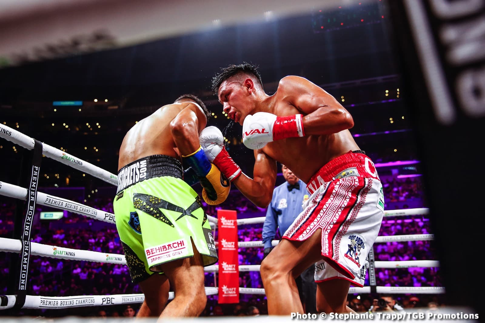 Boxing photo: Abner Mares image Abner Mares - Miguel Flores Draw - Boxing Results