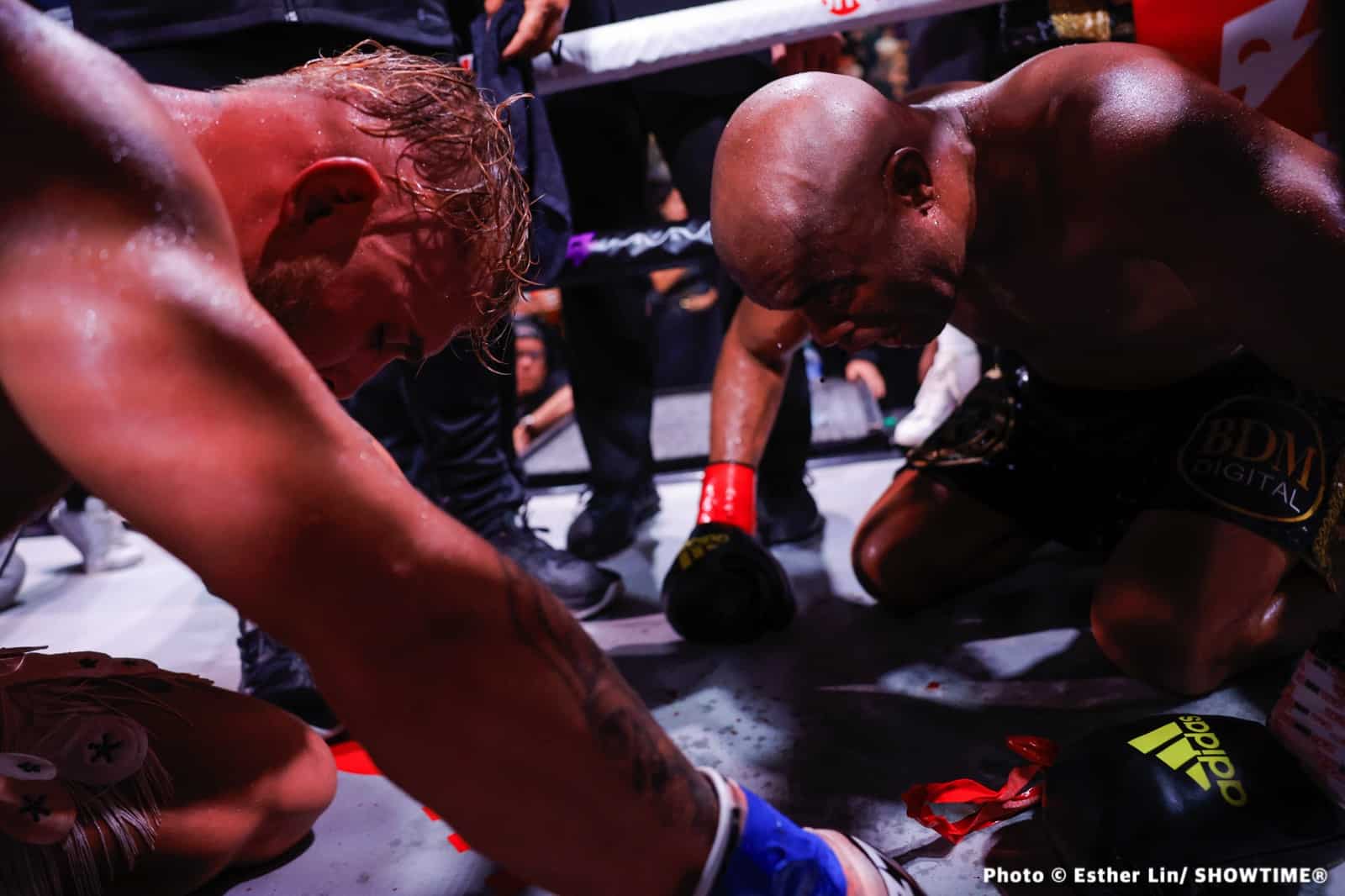 Photos: Jake Paul defeats Silva, Sylve Blasts Out Rodriguez