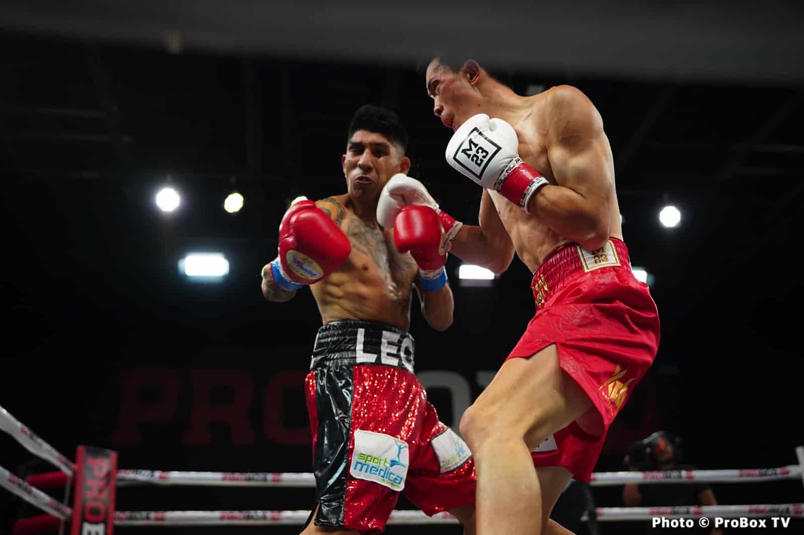 Boxing photo: Brandon Benitez, Xu Can image Benitez defeats Xu Can on ProBox TV - Boxing Results