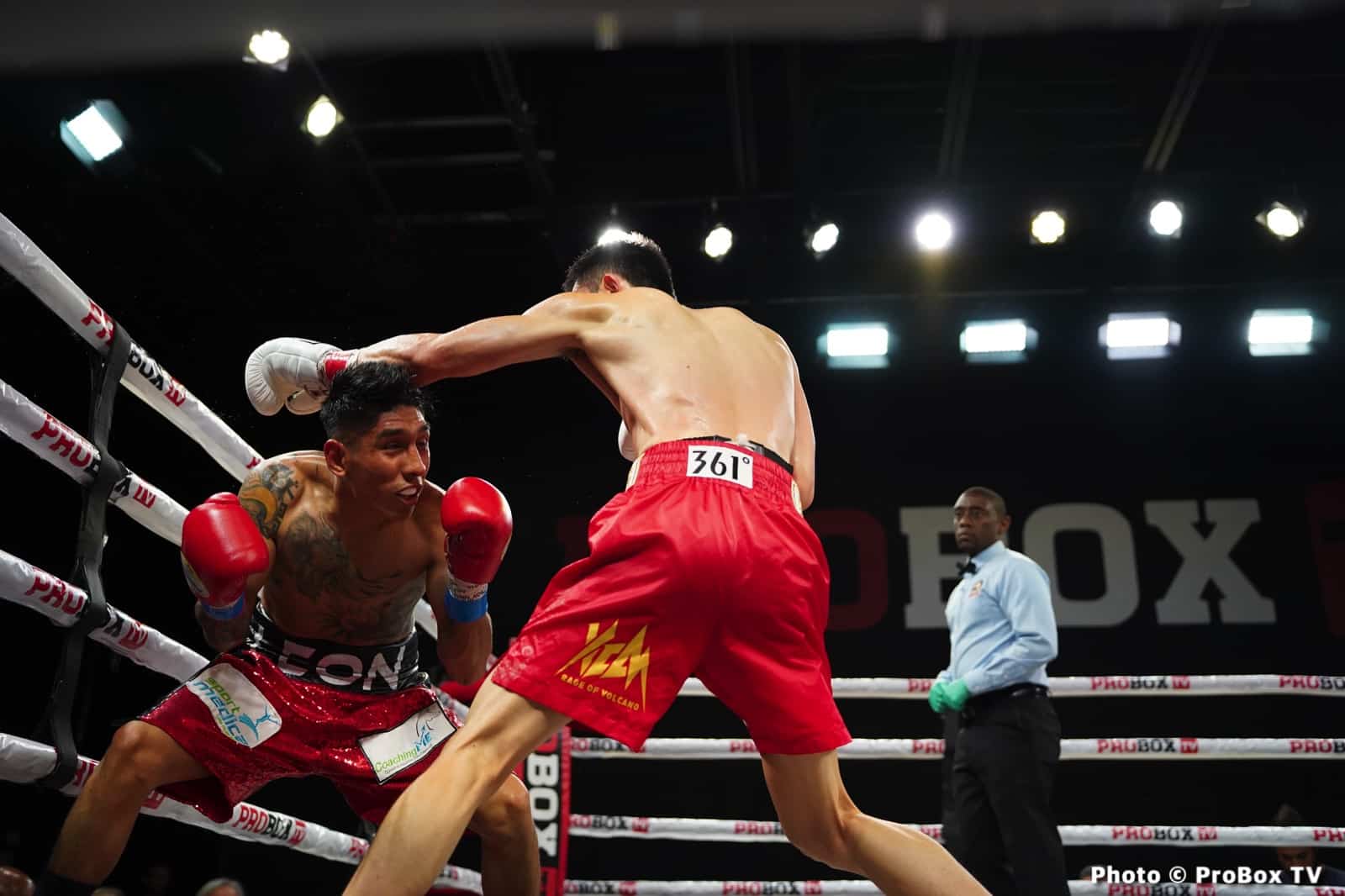 Boxing photo: Brandon Benitez, Xu Can image Benitez defeats Xu Can on ProBox TV - Boxing Results