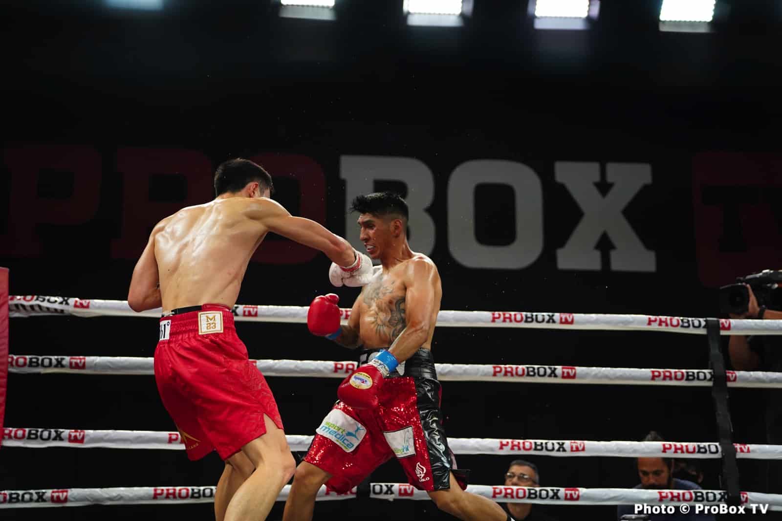 Boxing photo: Brandon Benitez, Xu Can image Benitez defeats Xu Can on ProBox TV - Boxing Results