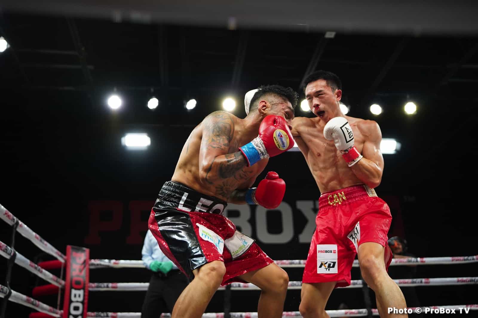 Boxing photo: Brandon Benitez, Xu Can image Benitez defeats Xu Can on ProBox TV - Boxing Results