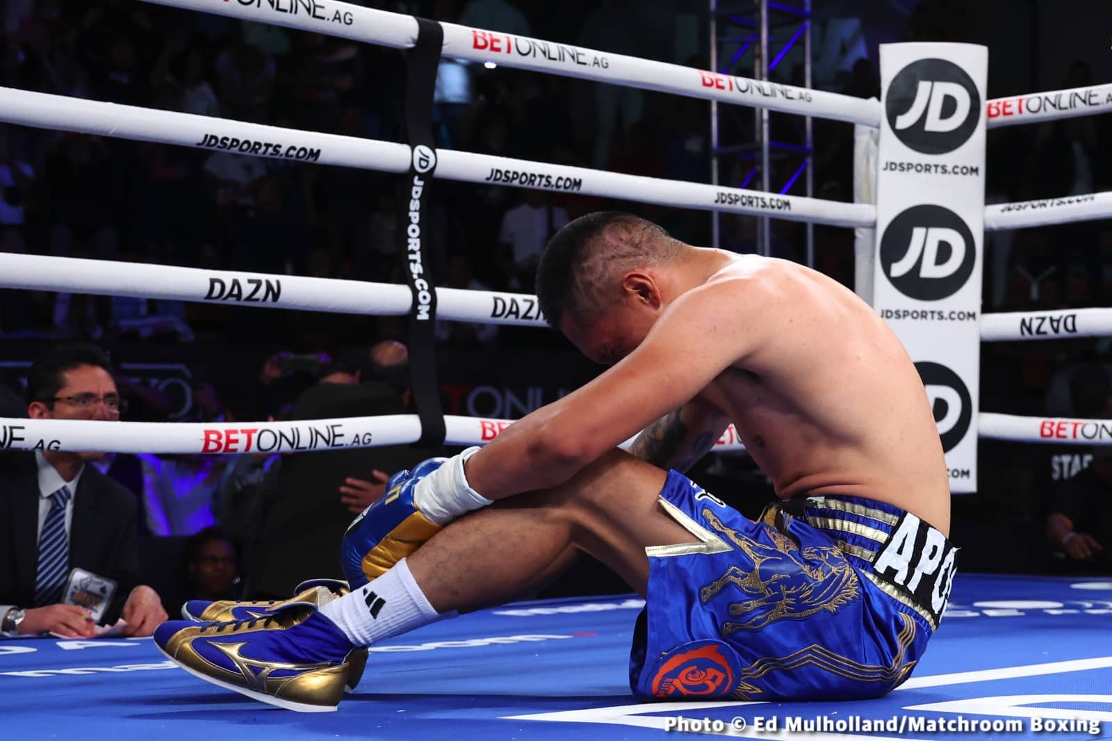 Mauricio Lara destroys Jose Sanmartin - Boxing Results