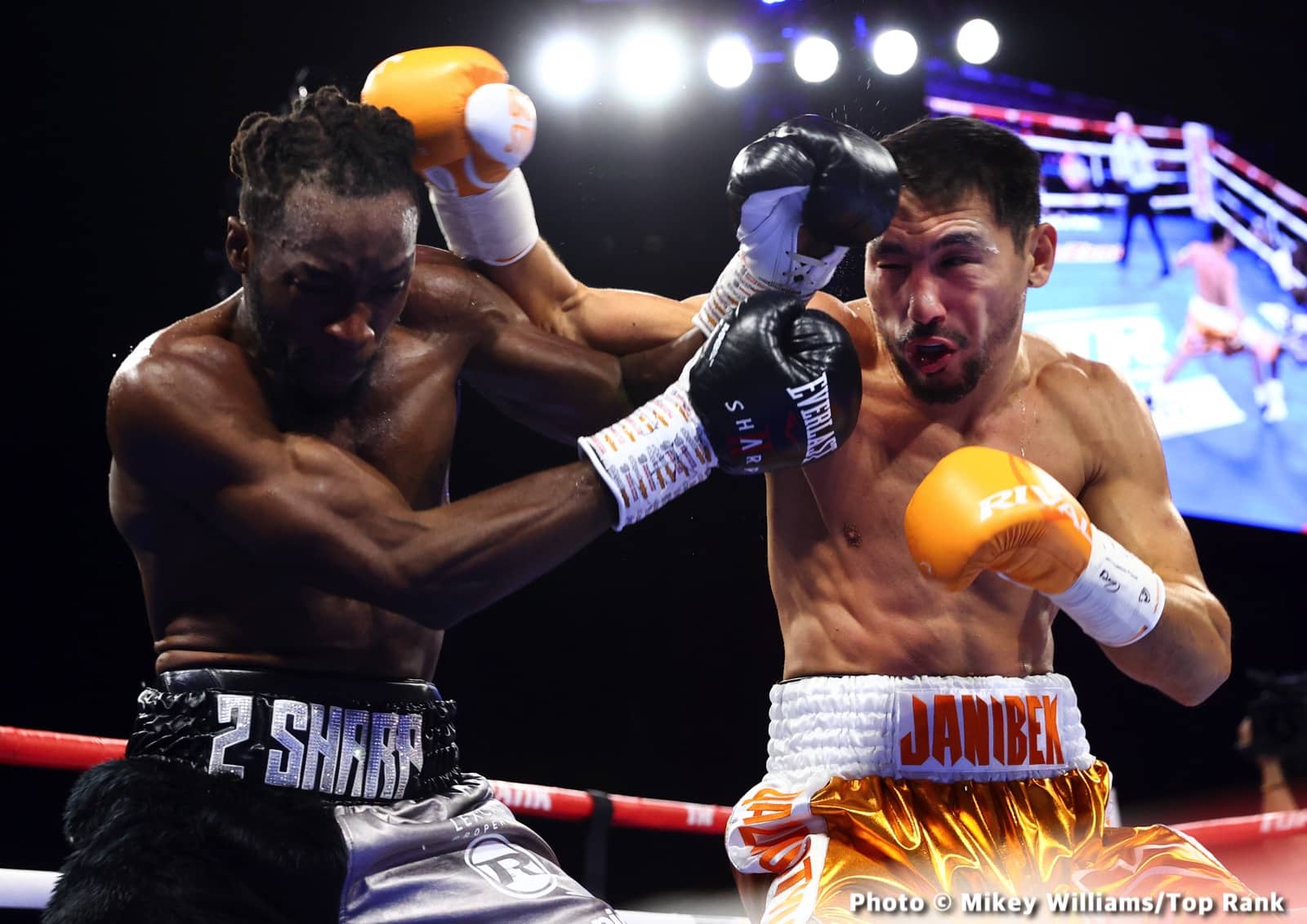 Janibek beats Bentley - Boxing Results