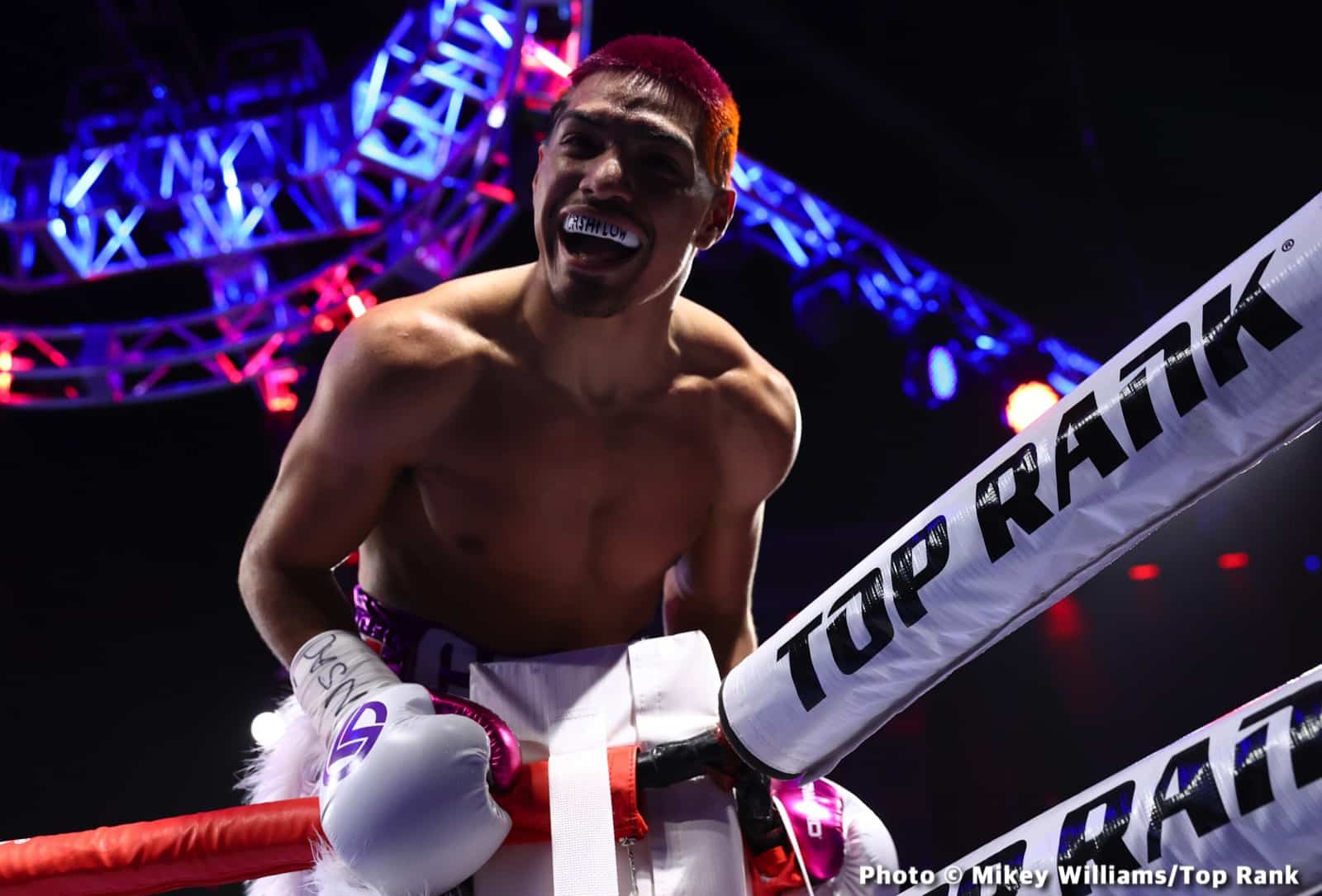 Janibek beats Bentley - Boxing Results