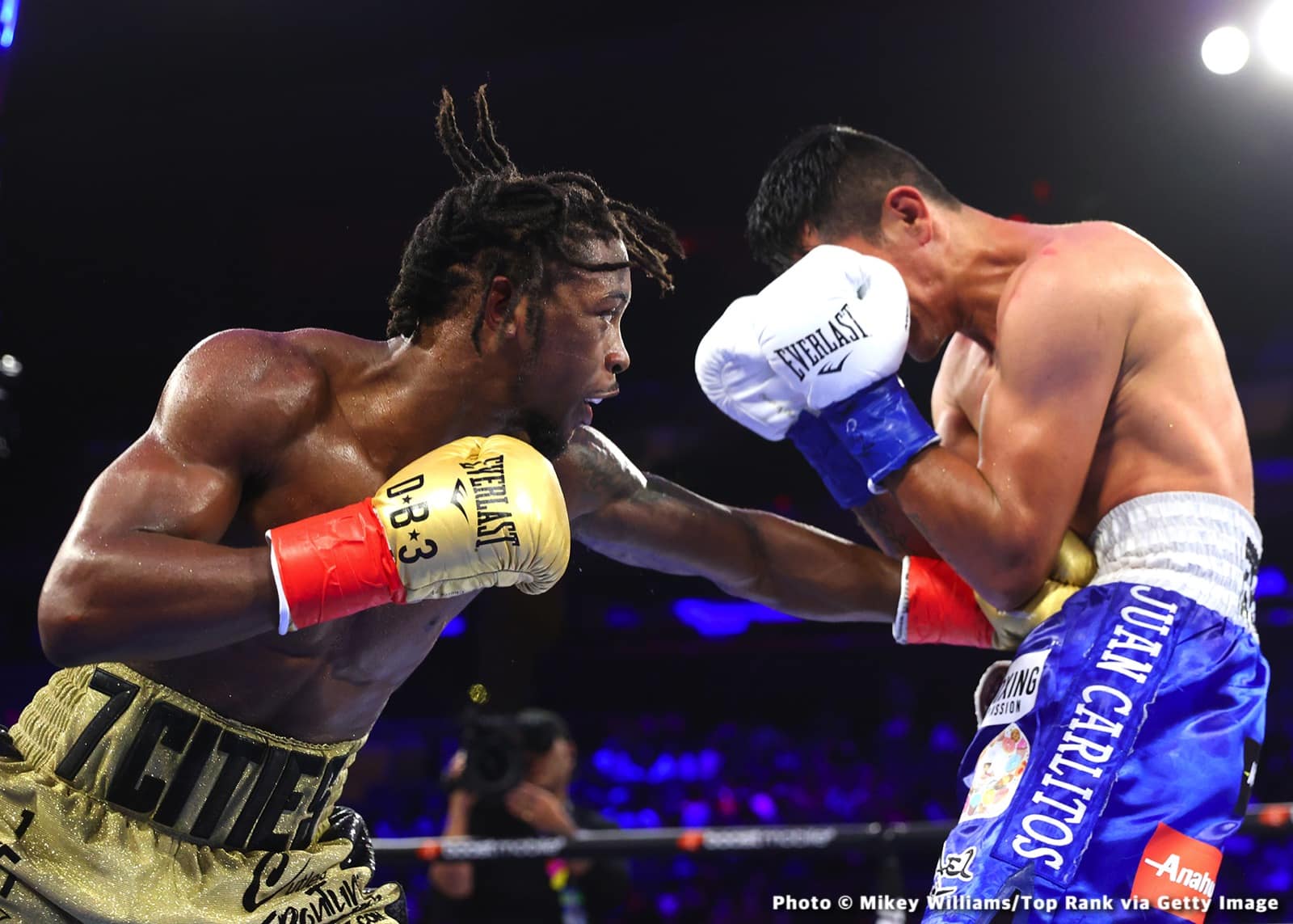 Photos: Anderson Destroys Forrest, Zayas Ends the Year in Style