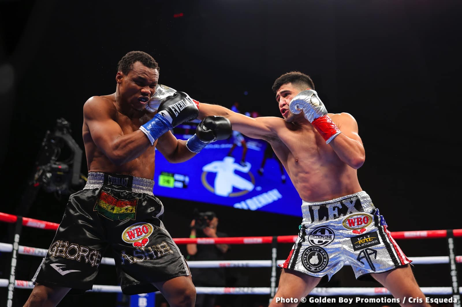 Alexis Rocha destroys George Ashie - Boxing Results
