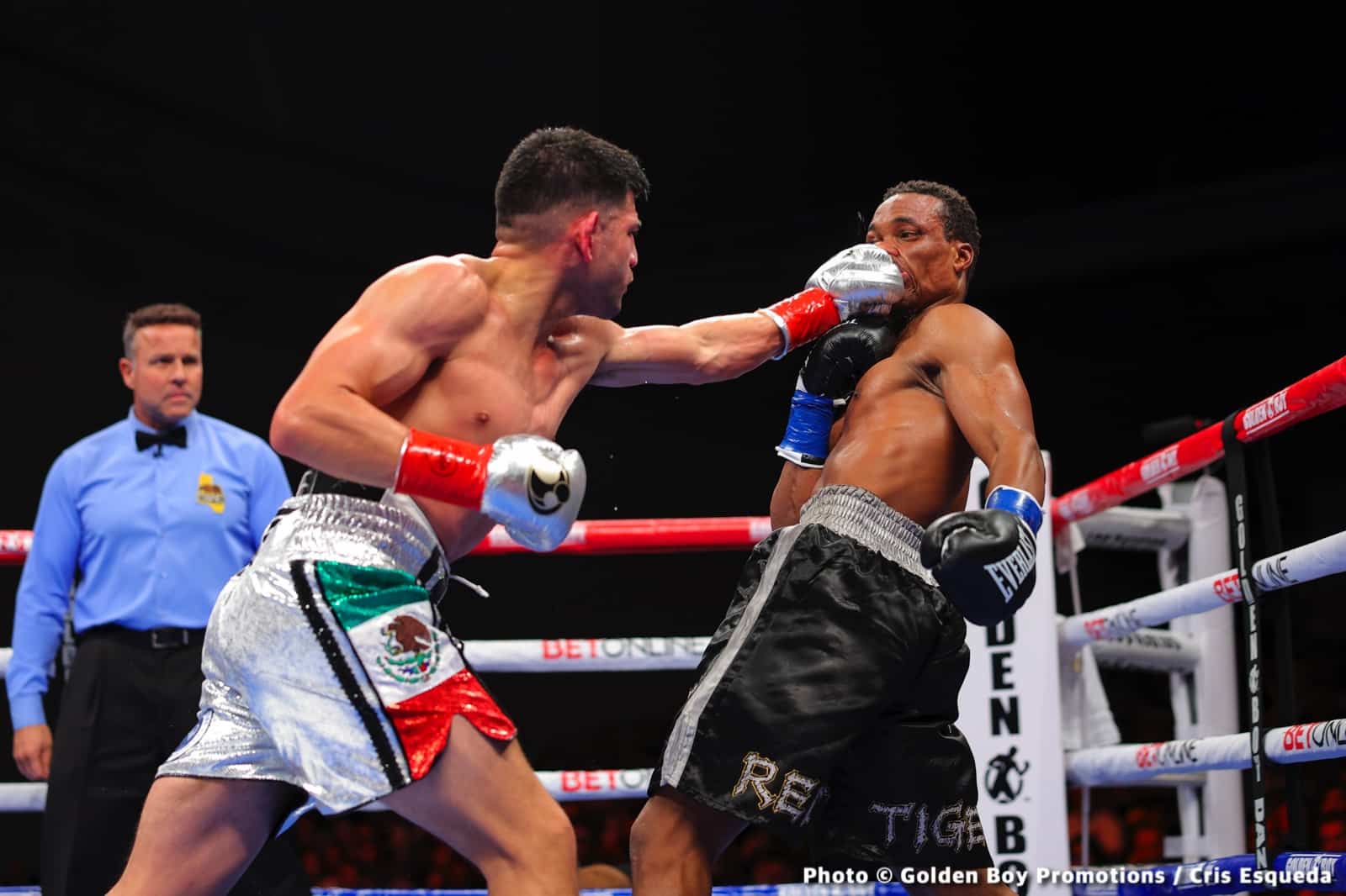 Alexis Rocha destroys George Ashie - Boxing Results