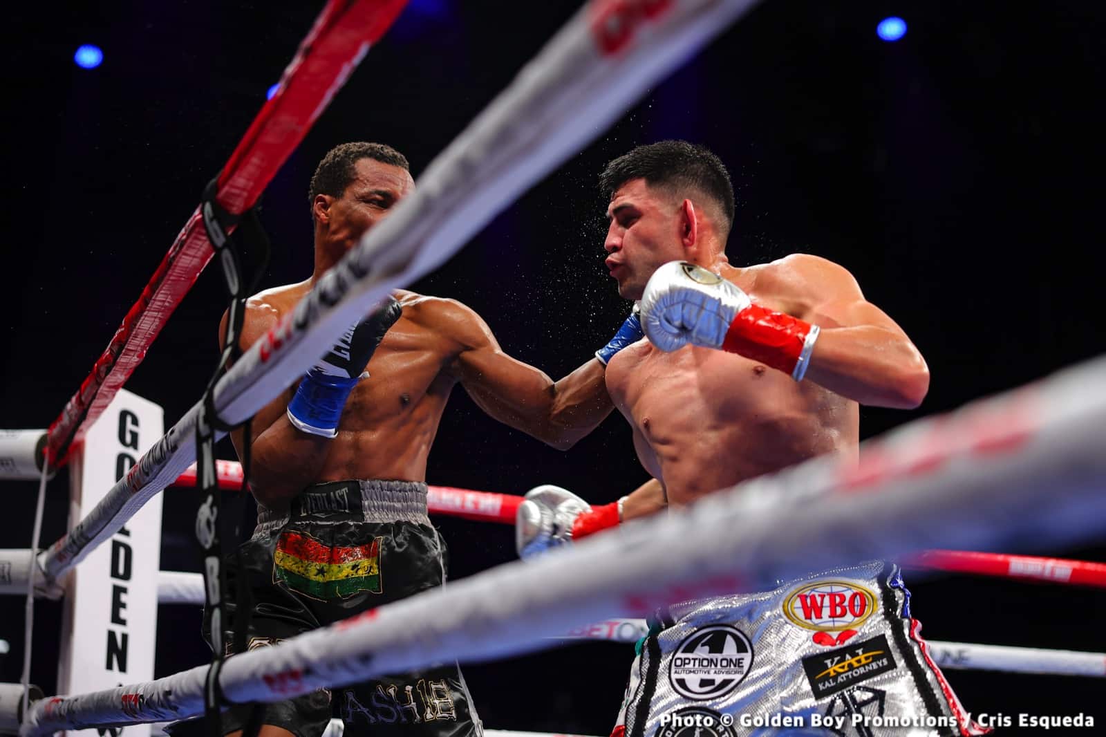 Photos: Rocha Secures Jaw-dropping KO of Ashie