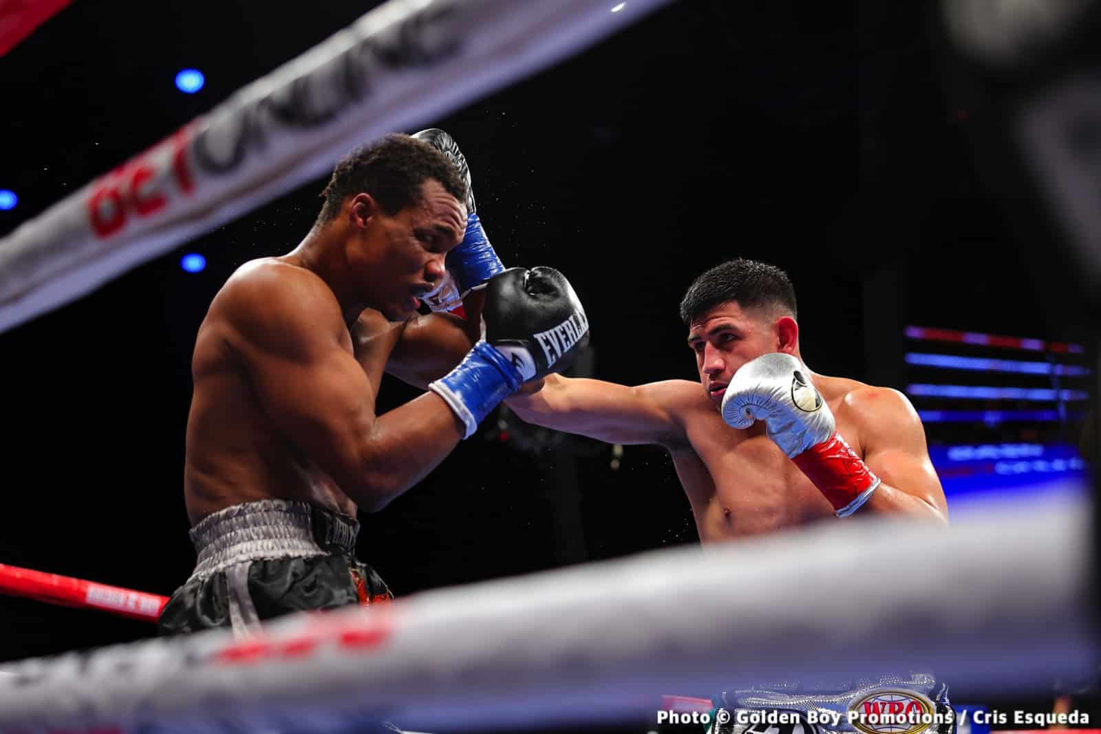 Photos: Rocha Secures Jaw-dropping KO of Ashie