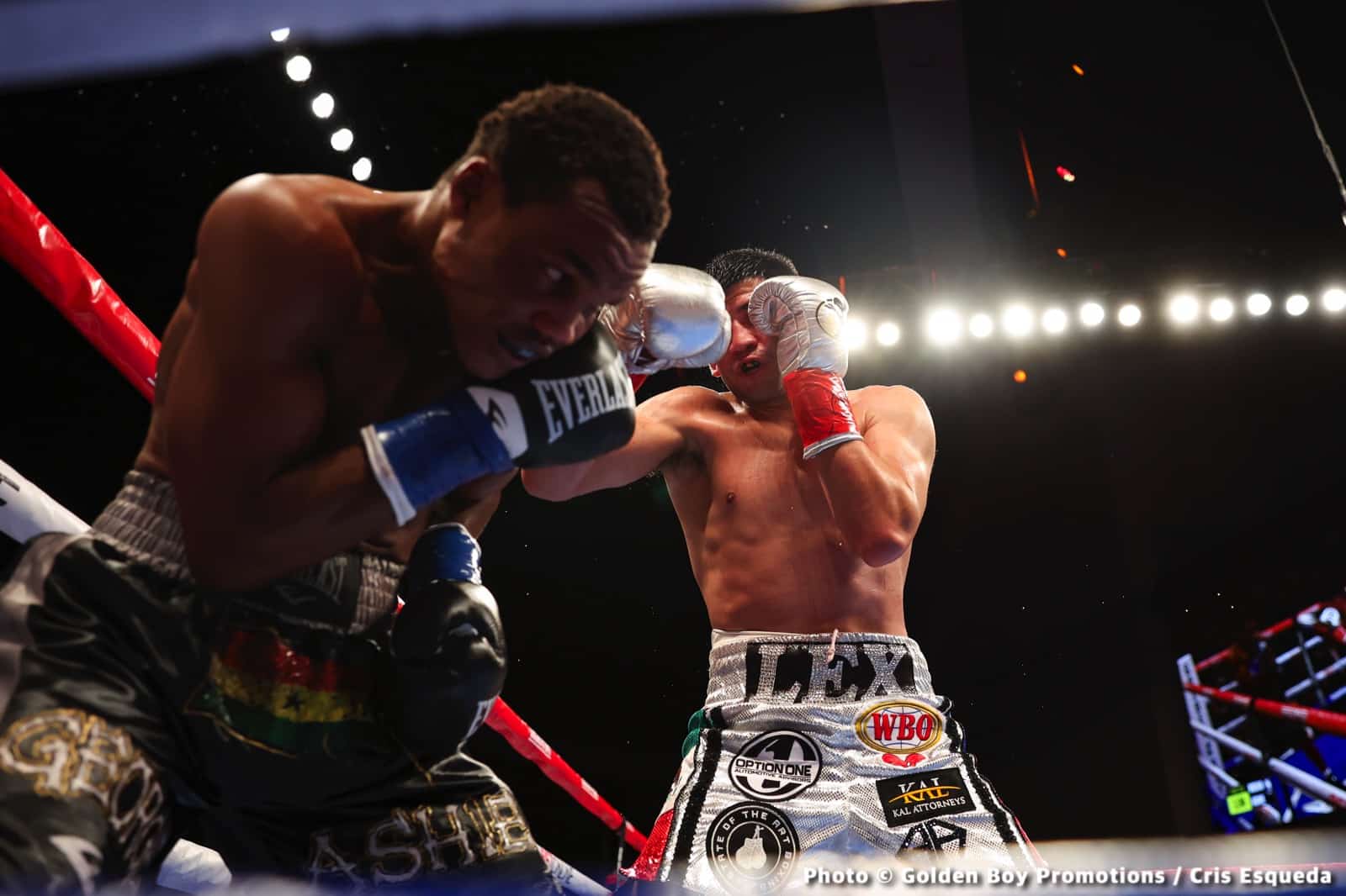 Photos: Rocha Secures Jaw-dropping KO of Ashie