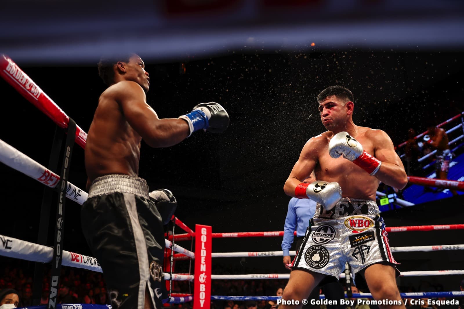 Boxing photo: Alexis Rocha image Photos: Rocha Secures Jaw-dropping KO of Ashie