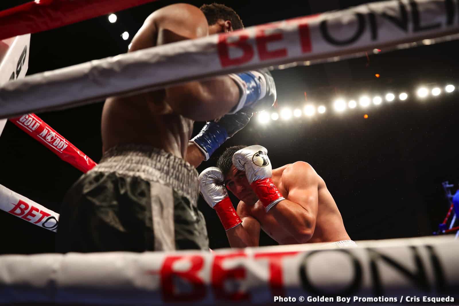 Boxing photo: Alexis Rocha image Photos: Rocha Secures Jaw-dropping KO of Ashie