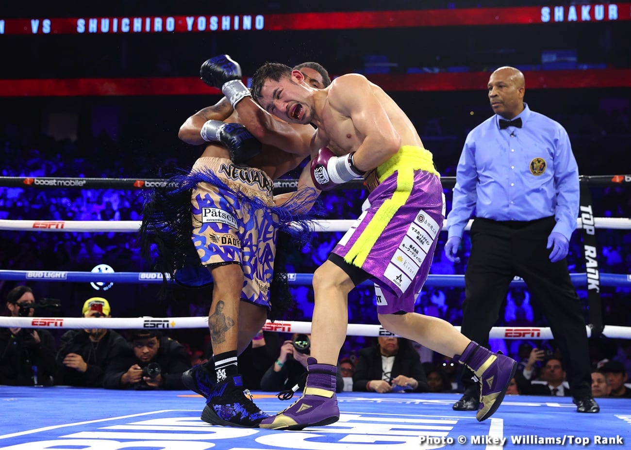 Shakur Stevenson destroys Shuichiro Yoshino - Boxing results