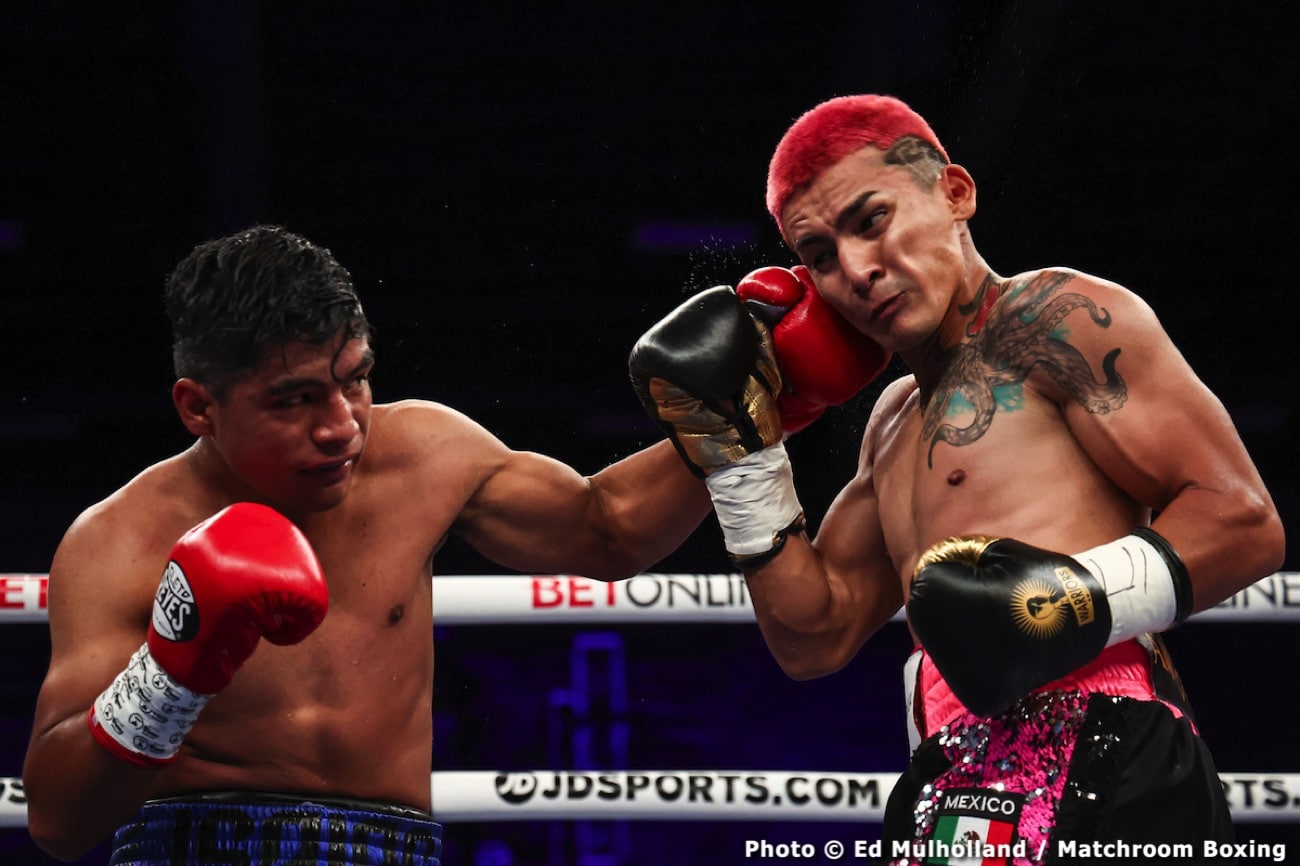 Boxing photo: Diego Pacheco, Manuel Gallegos image Diego Pacheco destroys Manuel Gallegos - Boxing results