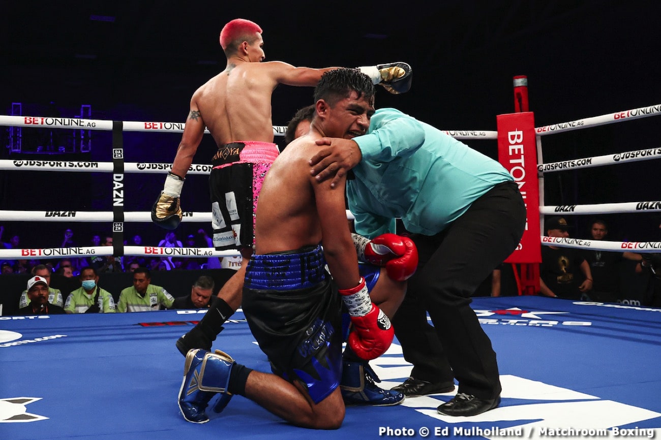 Boxing photo: Diego Pacheco, Manuel Gallegos image Diego Pacheco destroys Manuel Gallegos - Boxing results
