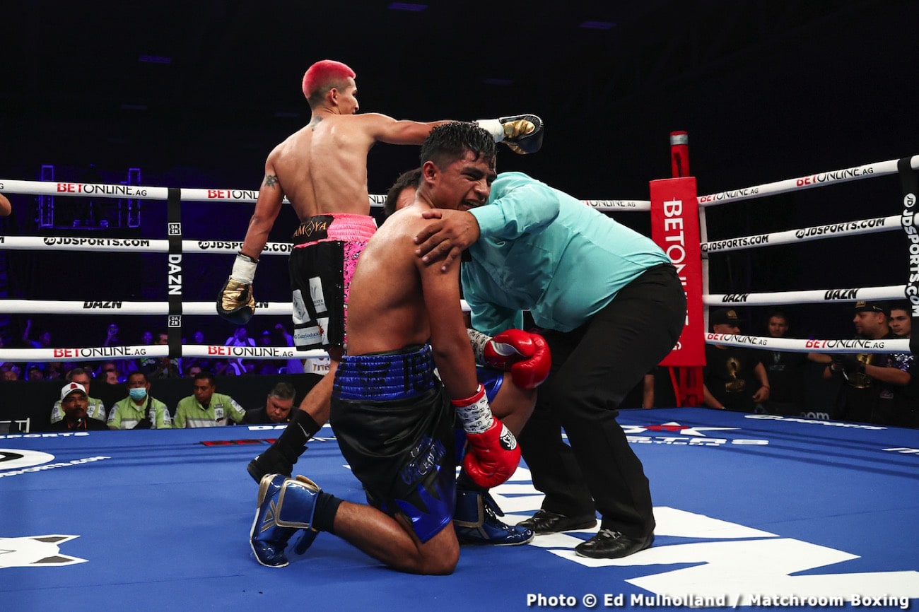 Boxing photo: Diego Pacheco, Manuel Gallegos image Diego Pacheco destroys Manuel Gallegos - Boxing results