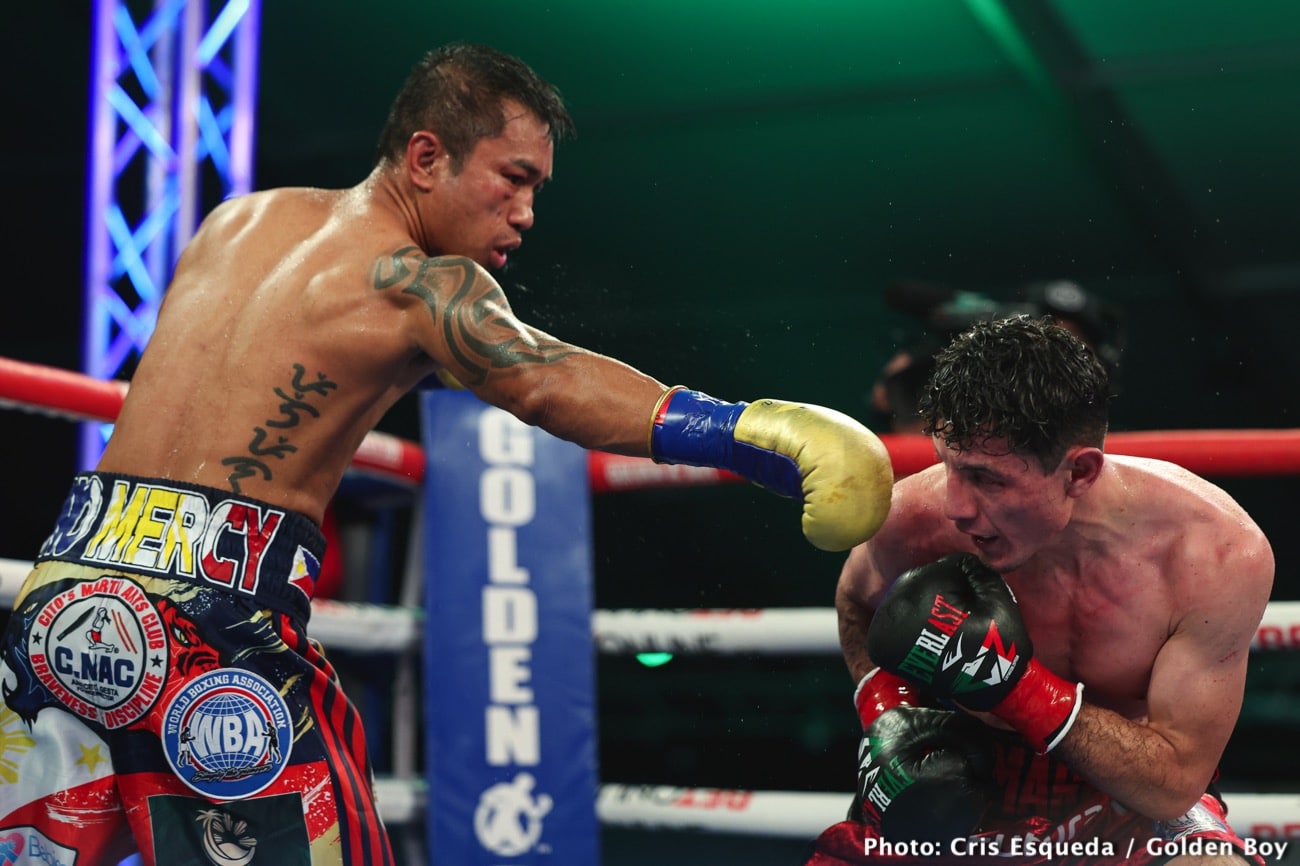 Boxing photo: Mercito Gesta, William Zepeda image William Zepeda destroys Mercito Gesta in six round KO - Boxing results