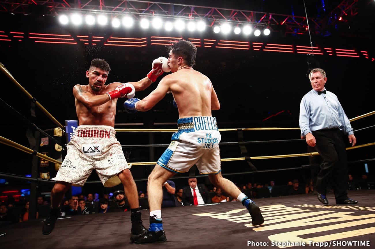 Boxing photo: Rafael Pedroza, Ramon Cardenas image Ramon Cardenas KOs Rafael Pedroza - Boxing Results