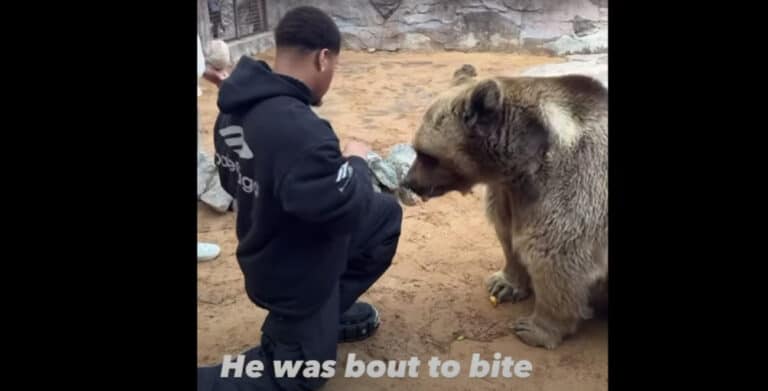 Devin Haney almost bear chow at zoo