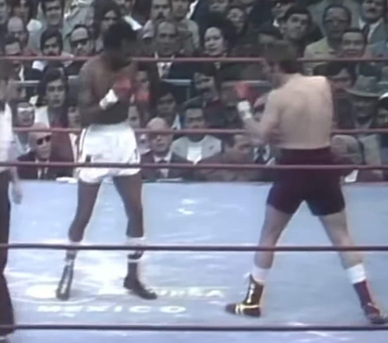 Stacey battles Napoles in historic fight.