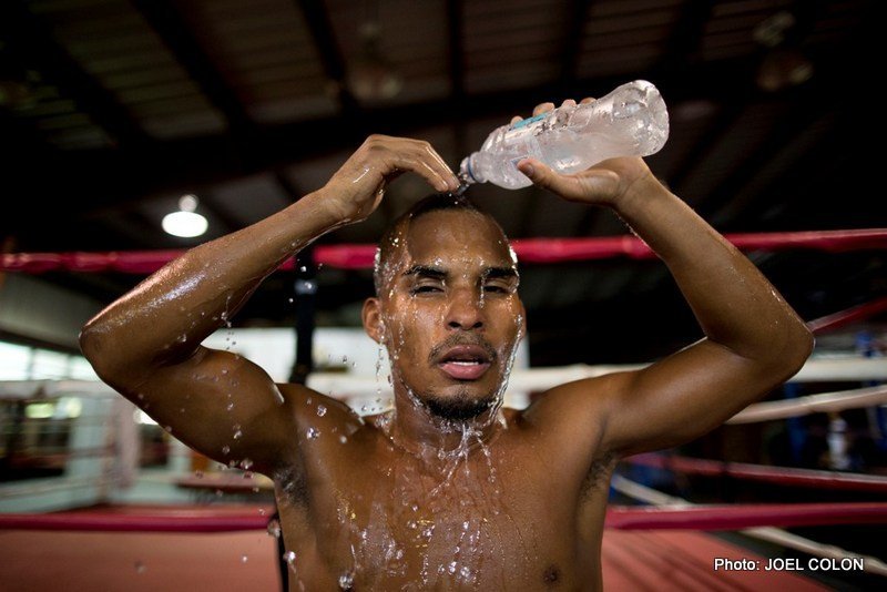 Jonathan Gonzalez boxing image / photo