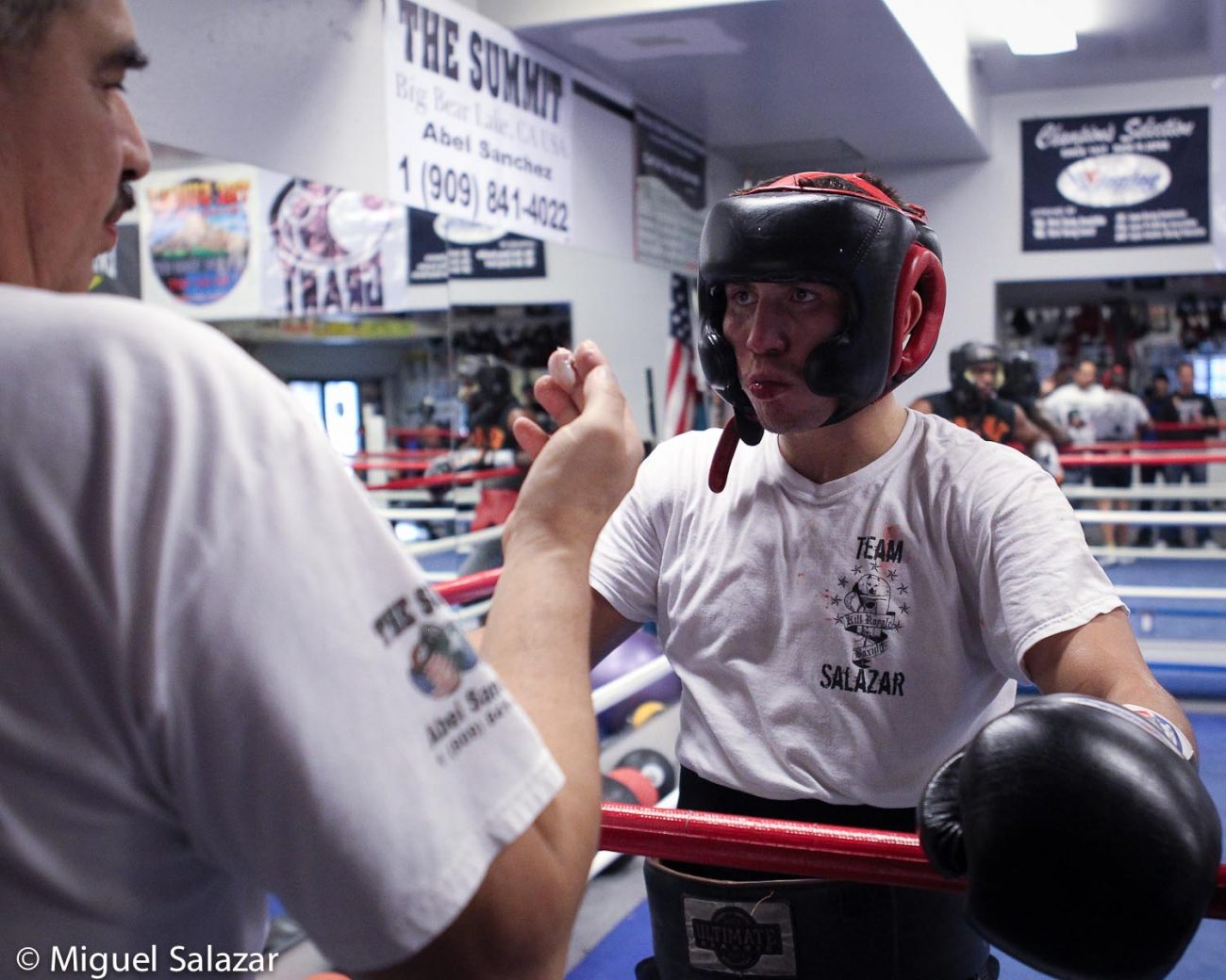 Photo: golovkinmedia-12 golovkinmedia-12